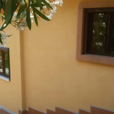Casa Cilento - Per Locazione Turistica أولياسترو تشيلنتو